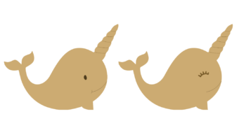 narwhal