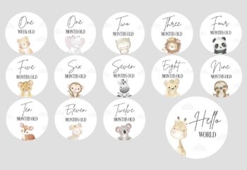 3mm Acrylic Milestone Discs Set - Cute Animals Design