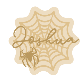 3mm mdf Personalised Spiders Web with name and Spider