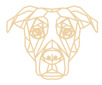 4mm mdf Geometric Staffordshire Bull Terrier Face