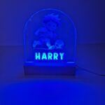 footballer led night light 7